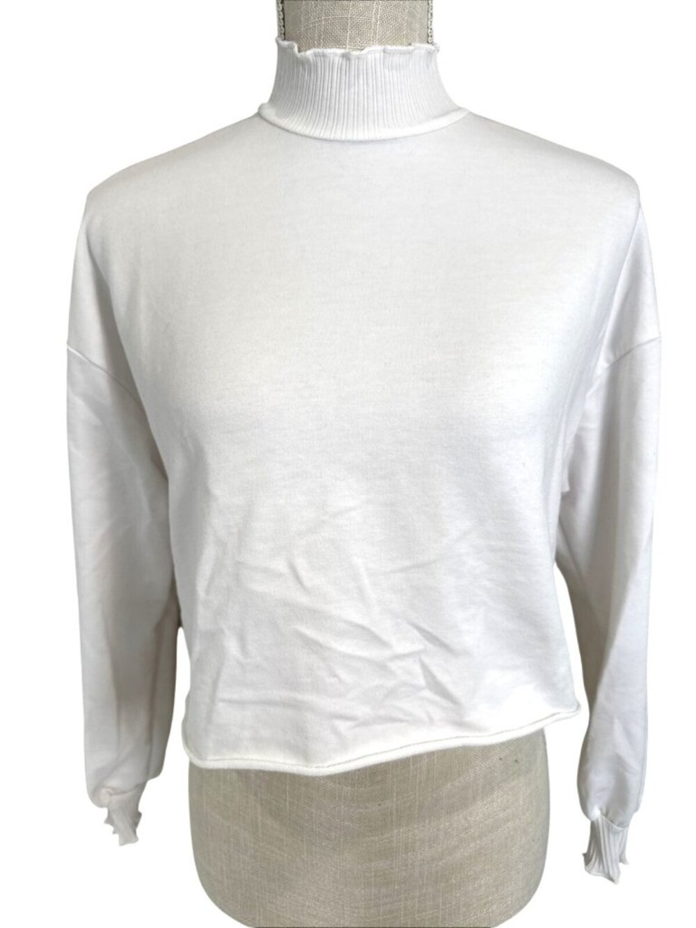 Shein White Turtleneck Long Sleeve Crop Top XS